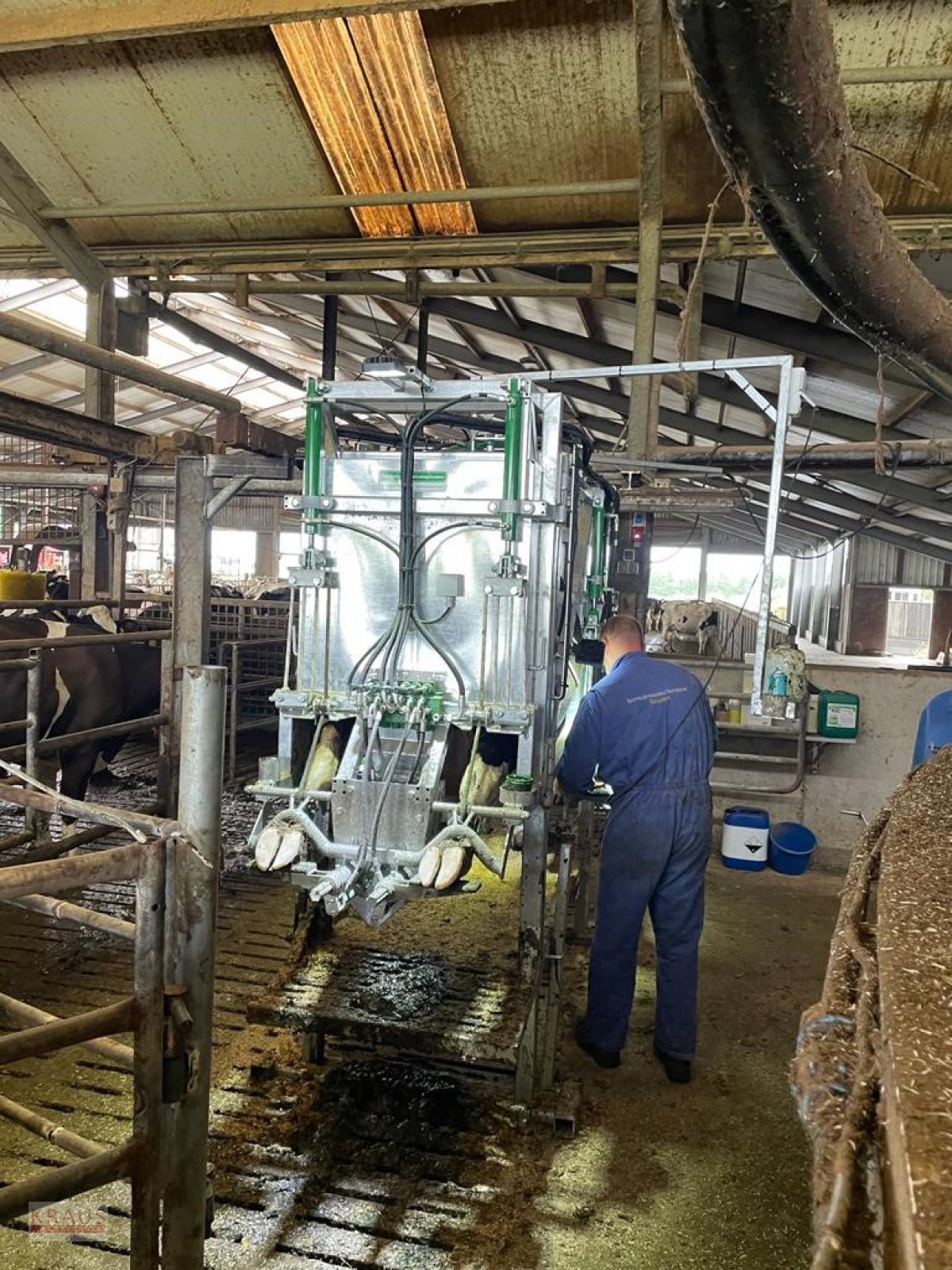 Klauenpflegestand des Typs Henken BV Klauenpflegestand typ H, Neumaschine in Geiersthal (Bild 1)