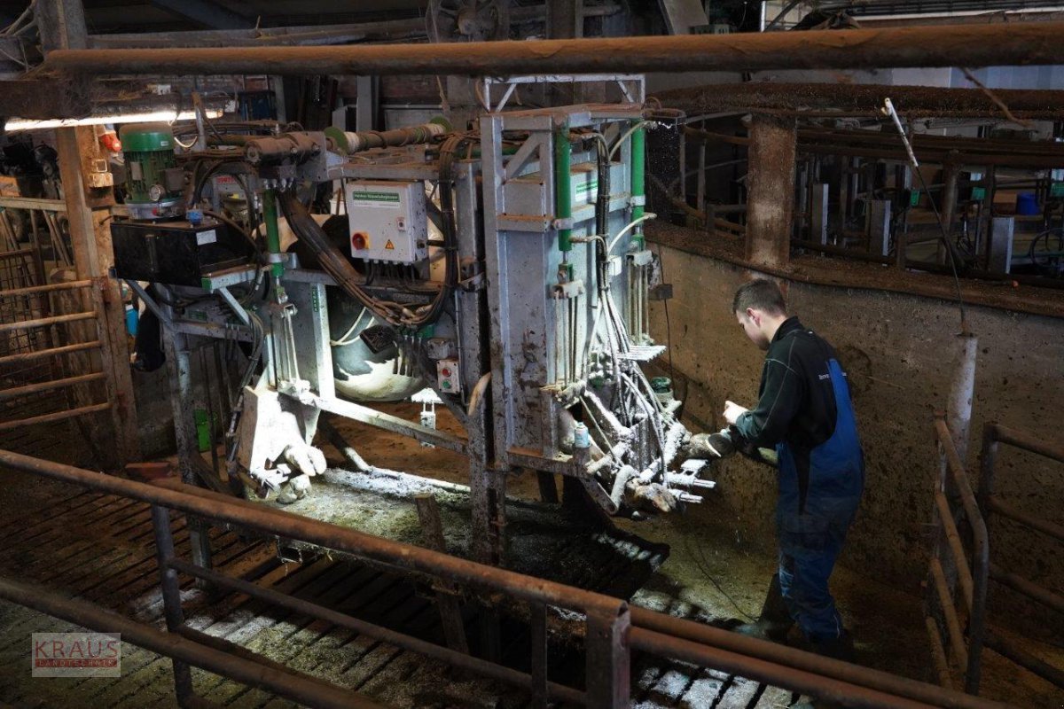 Klauenpflegestand des Typs Henken BV Klauenpflegestand typ H, Neumaschine in Geiersthal (Bild 2)