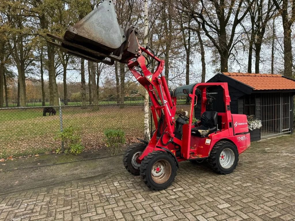 Knickgelenkte Baggerlader van het type Sonstige Weidemann 1240LP Laag model shovel loader, Gebrauchtmaschine in Harskamp (Foto 5)