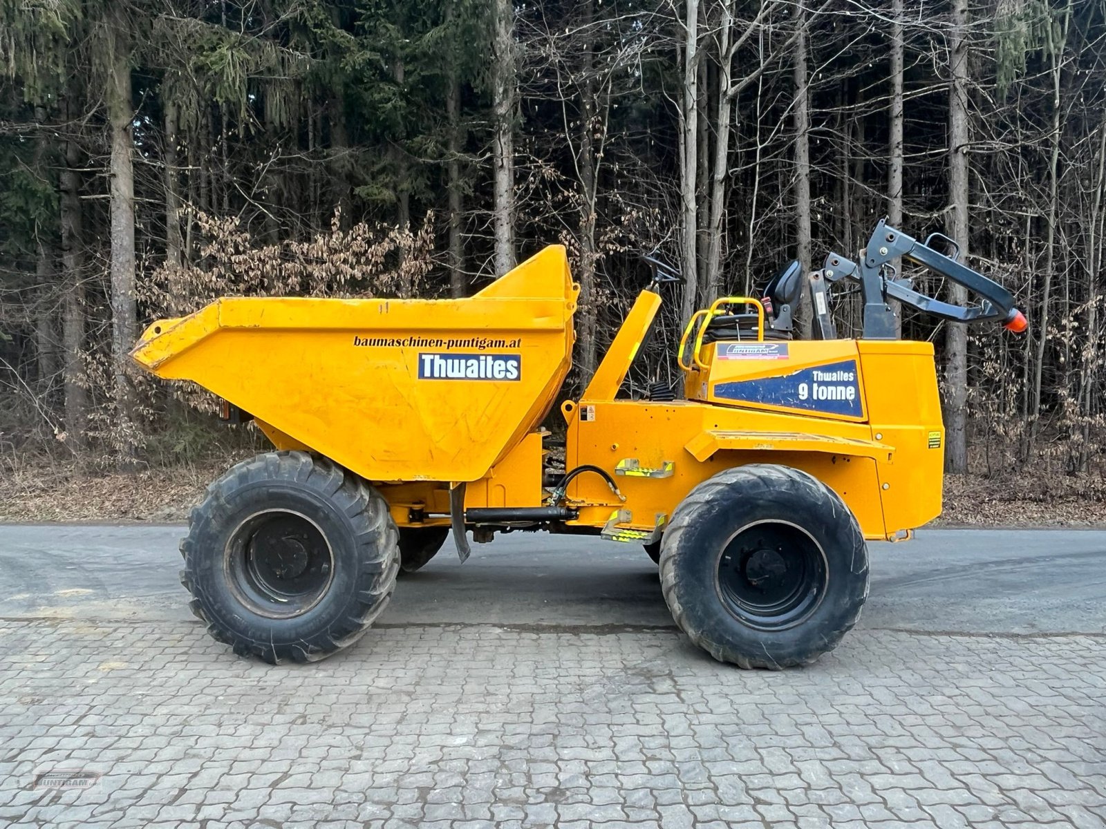 Knickgelenkte Dumper des Typs Thwaites Mach 2090, Gebrauchtmaschine in Deutsch - Goritz (Bild 1)