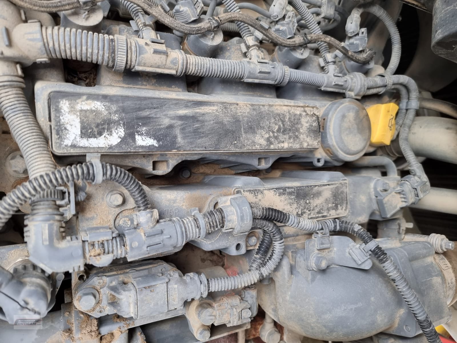 Knickgelenkte Dumper типа Wacker Neuson DW 50, Gebrauchtmaschine в Deutsch - Goritz (Фотография 12)