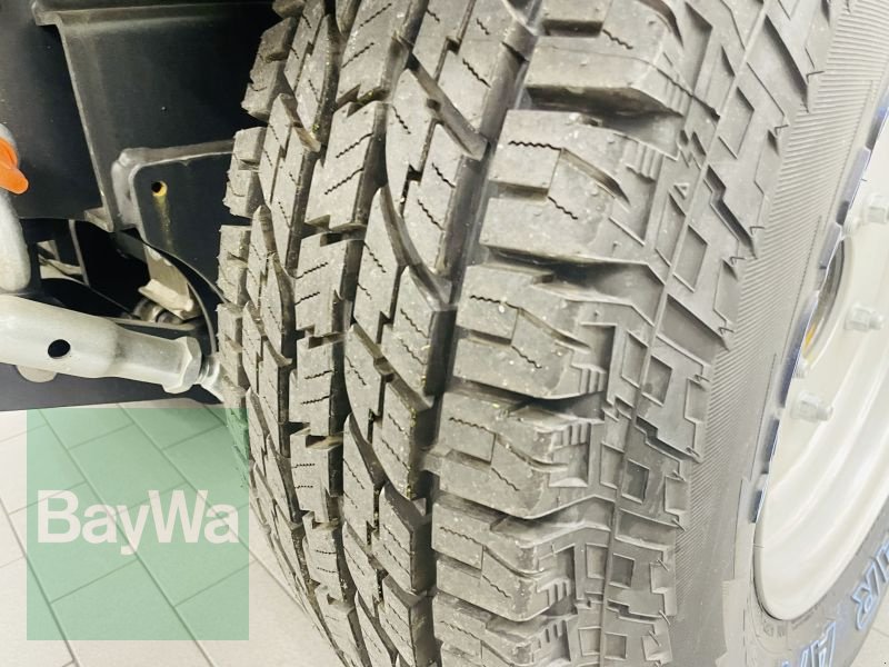 Kommunalfahrzeug del tipo Holder C 55 SINGLE CAB, Gebrauchtmaschine In Manching (Immagine 15)