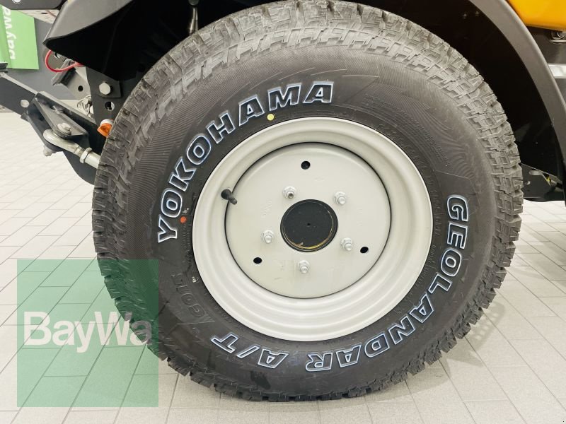 Kommunalfahrzeug del tipo Holder C 55 SINGLE CAB, Gebrauchtmaschine In Manching (Immagine 16)