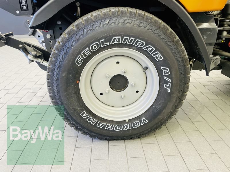 Kommunalfahrzeug des Typs Holder C 65 SINGLE CAB, Gebrauchtmaschine in Manching (Bild 15)