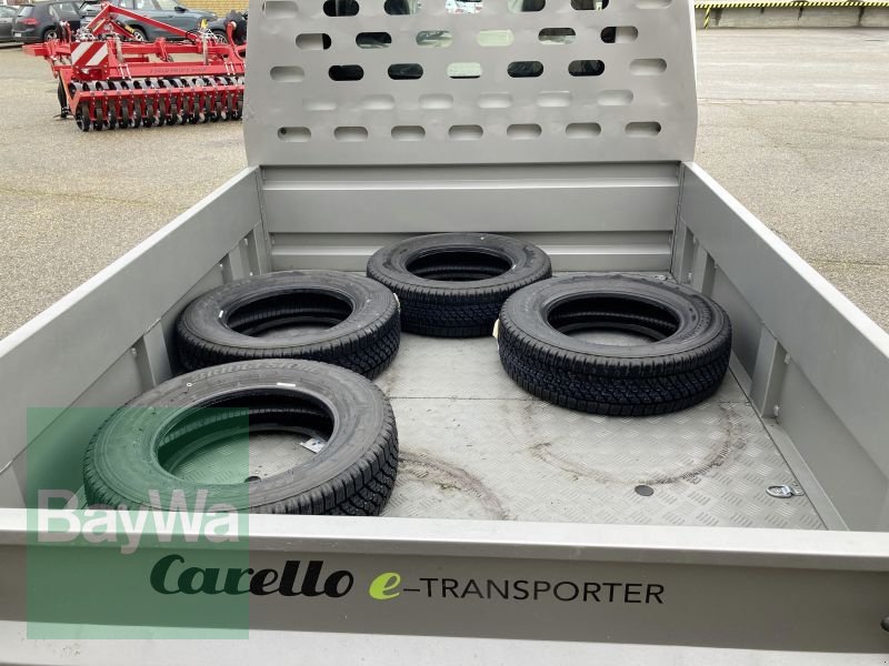 Kommunalfahrzeug des Typs Sonstige E-TRANSPORTER TR100, Gebrauchtmaschine in Obertraubling (Bild 16)