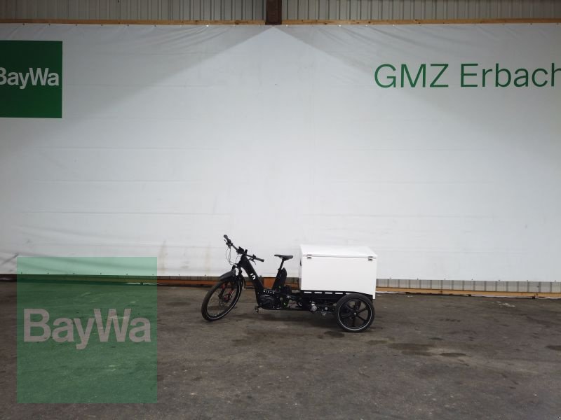 Kommunalfahrzeug des Typs Sonstige SINGLE BASE 100 GLEAM, Gebrauchtmaschine in Erbach (Bild 1)