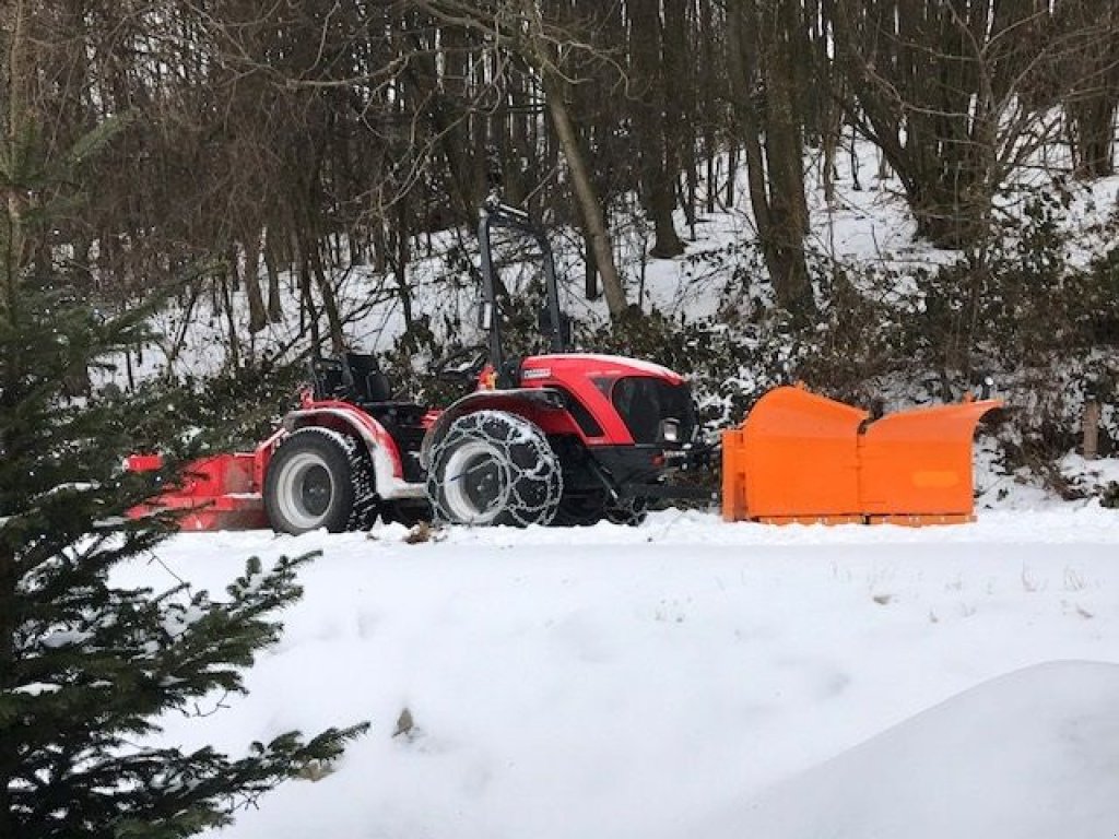 Kommunaltraktor tip Antonio Carraro TIGRE 3800 Schlepper Traktor Pasquali, Neumaschine in Aigen-Schlägl (Poză 4)