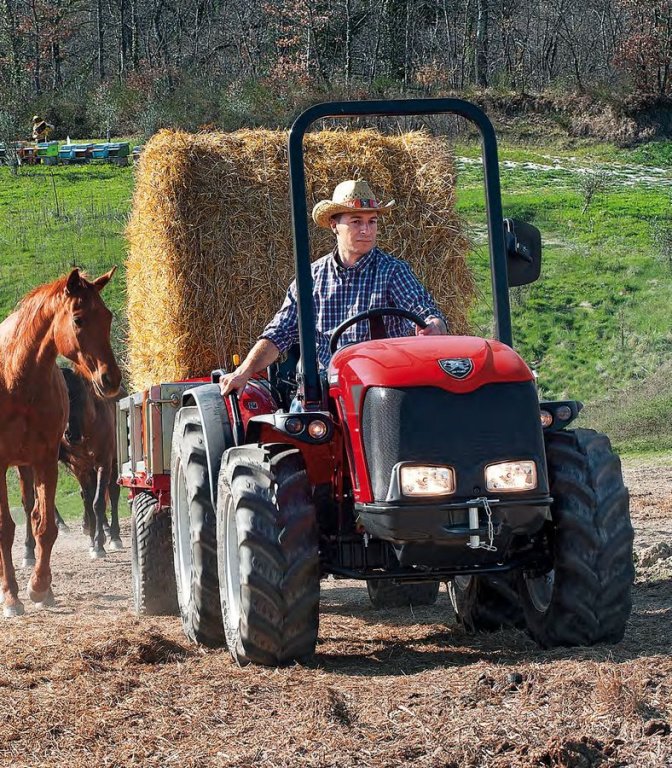Kommunaltraktor tip Antonio Carraro TIGRE 3800 Schlepper Traktor Pasquali, Neumaschine in Aigen-Schlägl (Poză 2)