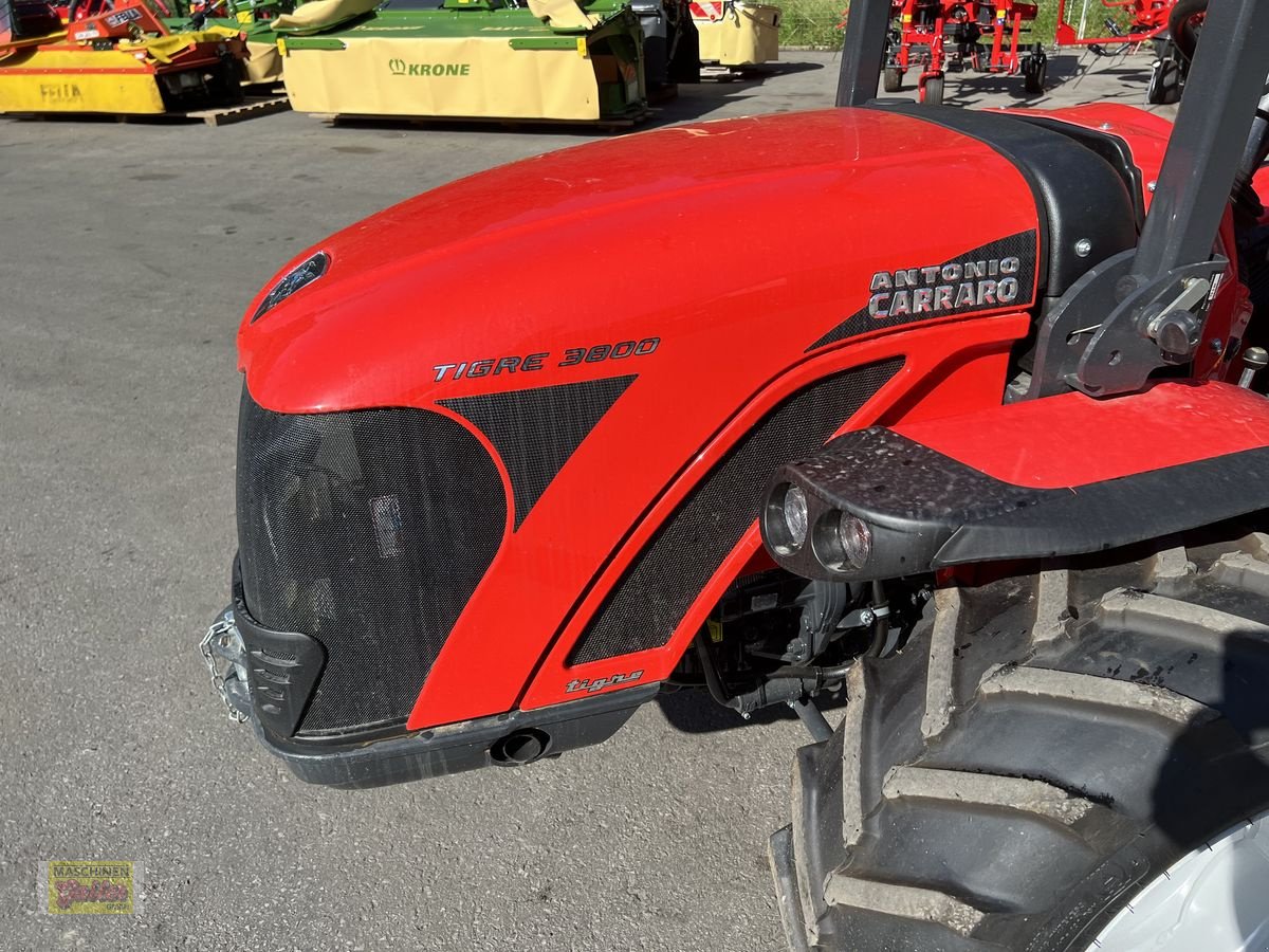 Kommunaltraktor des Typs Antonio Carraro Tigre 3800, Neumaschine in Kötschach (Bild 10)