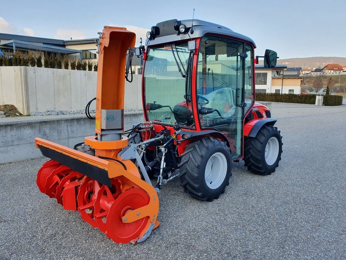 Kommunaltraktor typu Antonio Carraro TTR 4800 HST Schlepper Traktor NEU Pasquali Aebi, Neumaschine v Aigen-Schlägl (Obrázek 9)