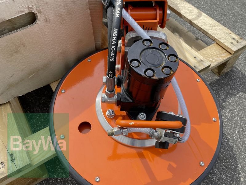 Kommunaltraktor des Typs Holder C 65 SINGLE CAB, Gebrauchtmaschine in Bamberg (Bild 20)