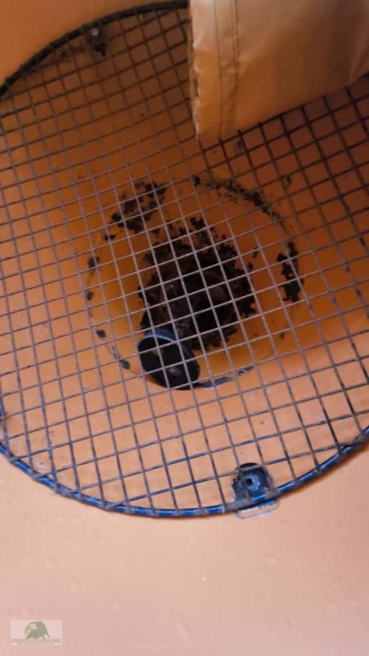 Kommunaltraktor tip John Deere 3046R, Gebrauchtmaschine in Steinwiesen (Poză 24)