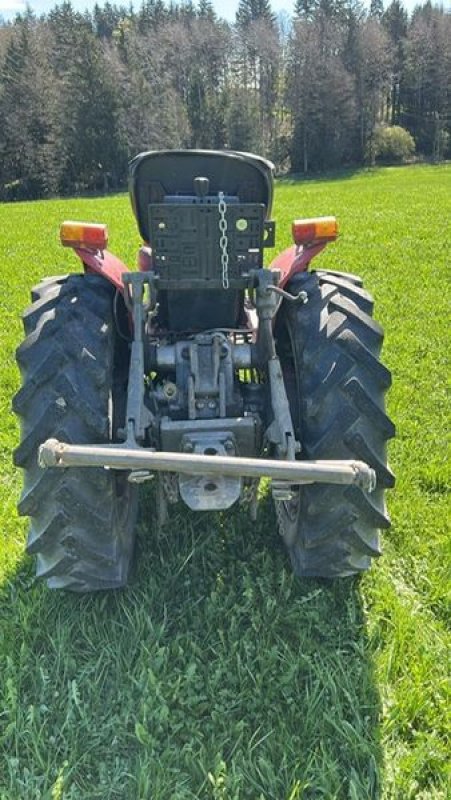 Kommunaltraktor des Typs Massey Ferguson 130, Gebrauchtmaschine in NATTERNBACH (Bild 5)