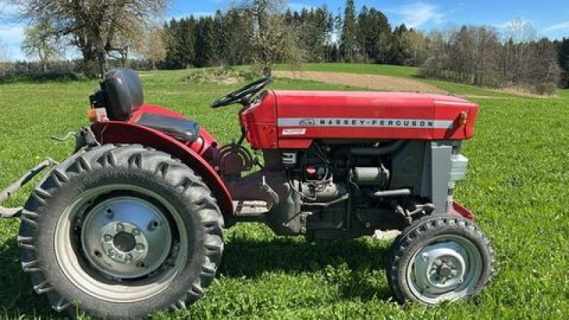 Kommunaltraktor des Typs Massey Ferguson 130, Gebrauchtmaschine in NATTERNBACH (Bild 1)