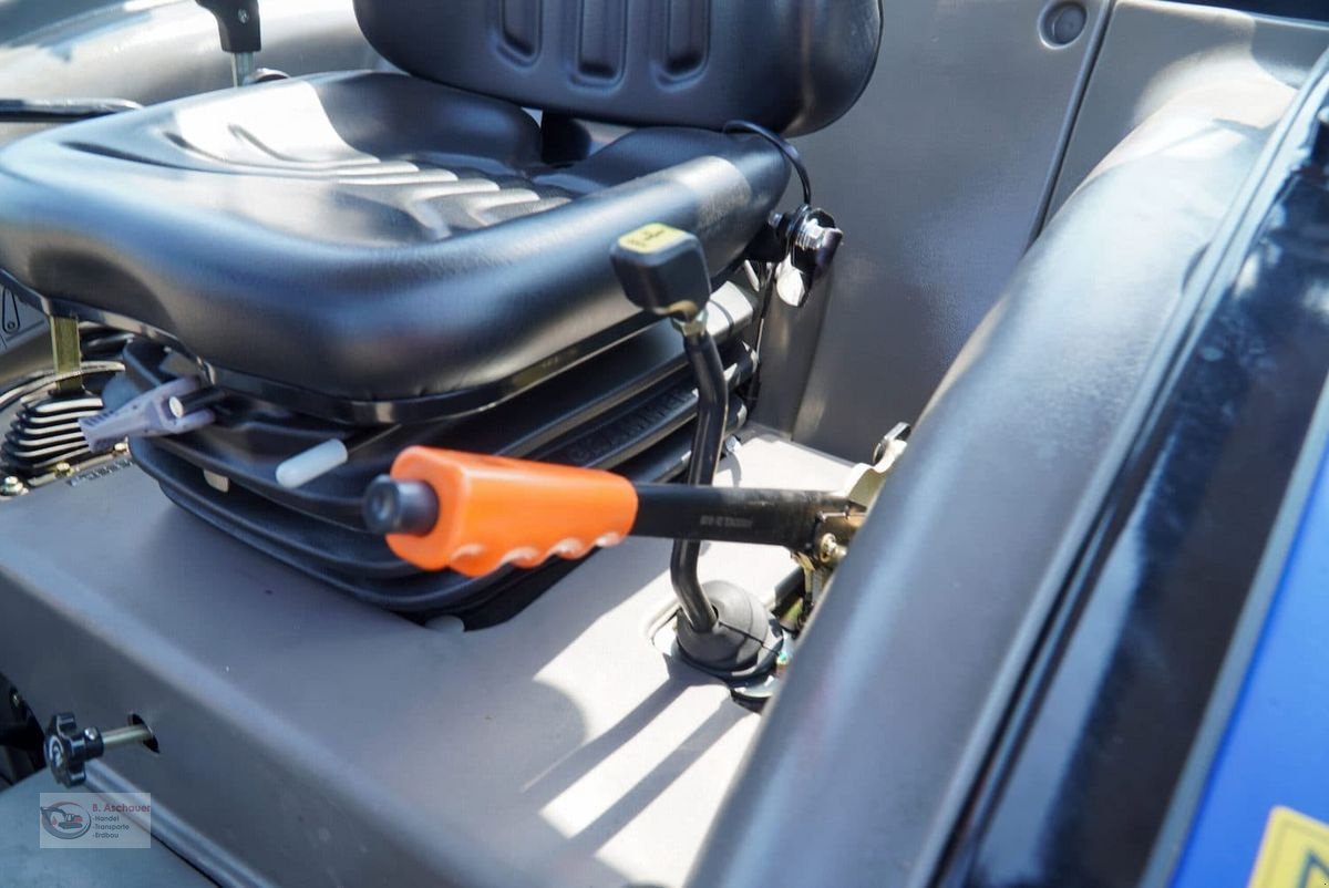 Kommunaltraktor del tipo Sonstige Lovol M404C mit Kabine, Neumaschine In Dimbach (Immagine 12)