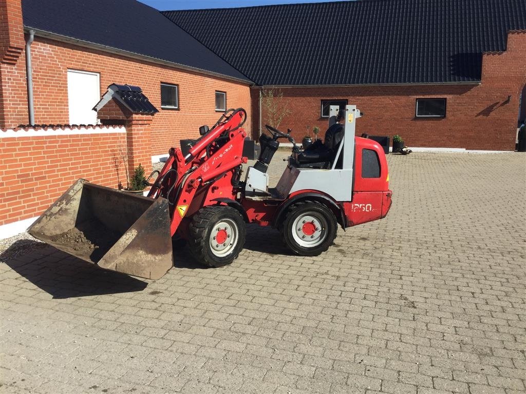 Kompaktlader of the type Agro KØBES. Haster, Gebrauchtmaschine in Give (Picture 1)