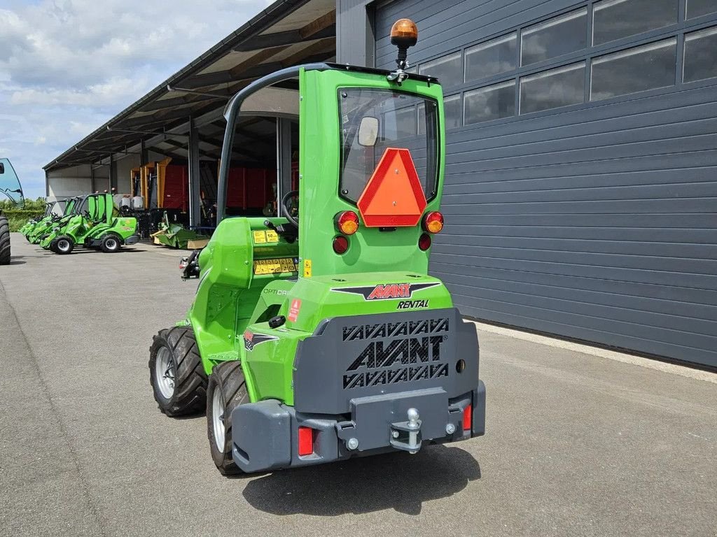 Kompaktlader of the type Avant 528 Rental mini-shovel, Gebrauchtmaschine in BENNEKOM (Picture 7)