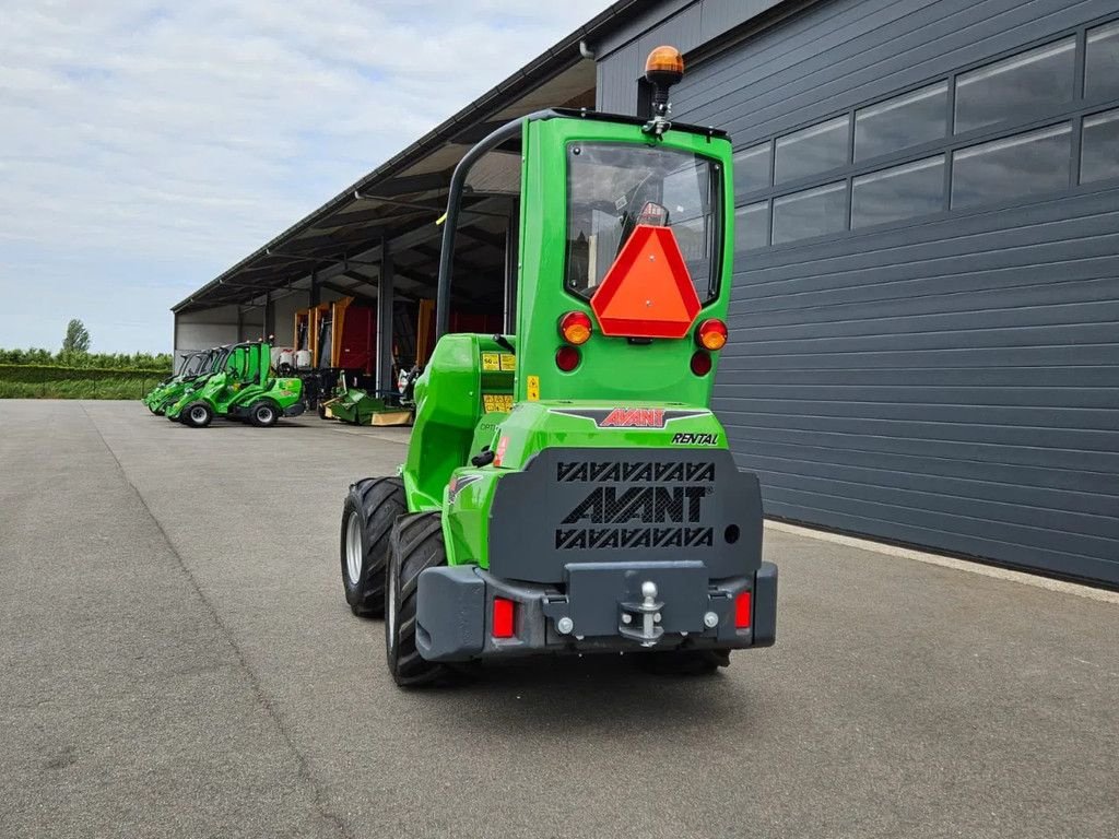Kompaktlader of the type Avant 635i Rental mini-shovel, Gebrauchtmaschine in BENNEKOM (Picture 4)