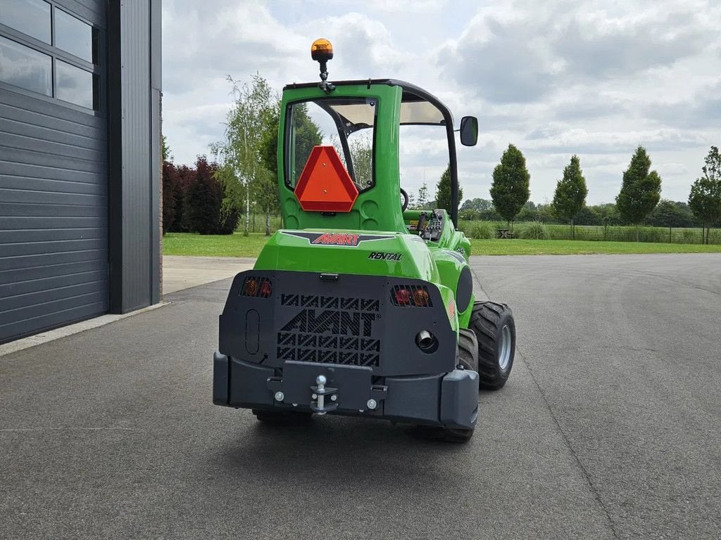 Kompaktlader of the type Avant 755i Rental mini-shovel, Gebrauchtmaschine in BENNEKOM (Picture 7)