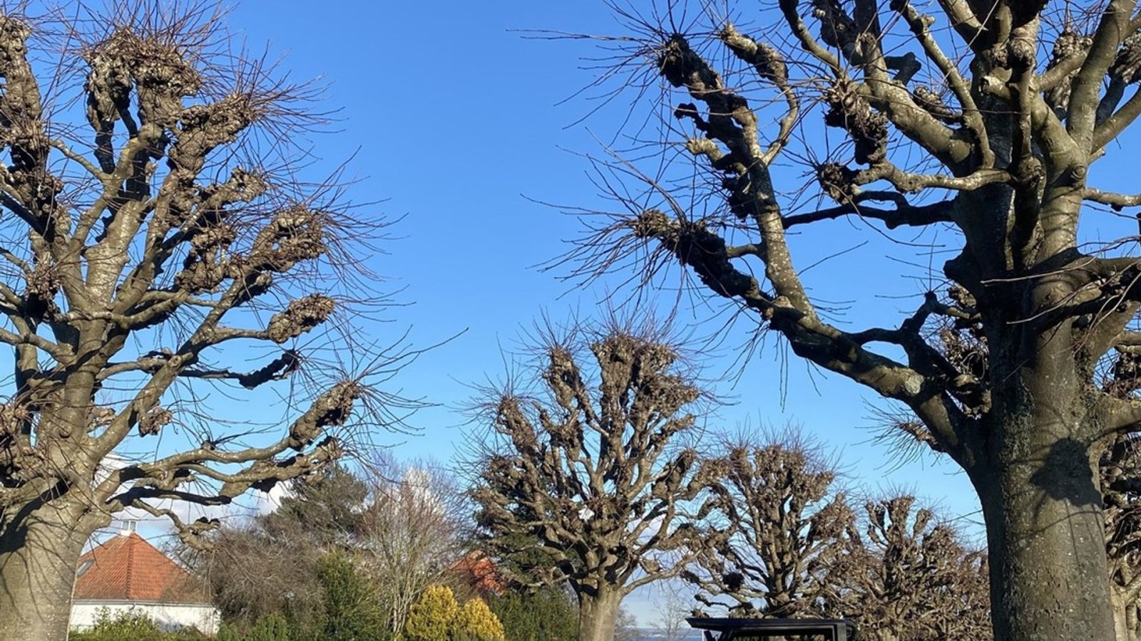 Kompaktlader des Typs Cast Group 30T, Gebrauchtmaschine in Ringe (Bild 2)