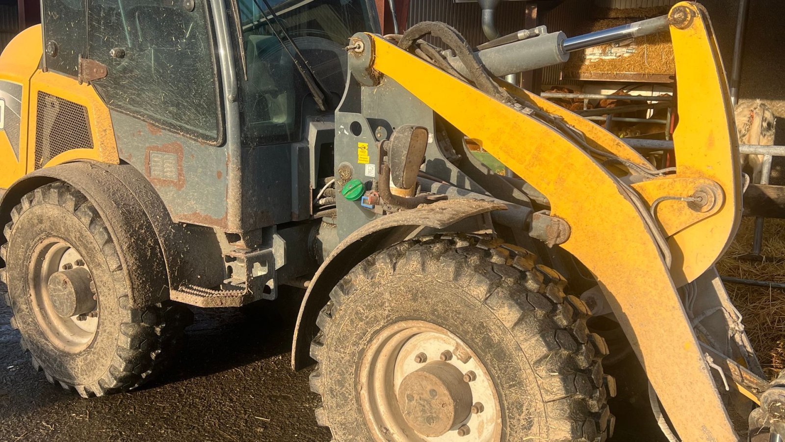 Kompaktlader van het type Gehl AL 750, Gebrauchtmaschine in Brønderslev (Foto 5)