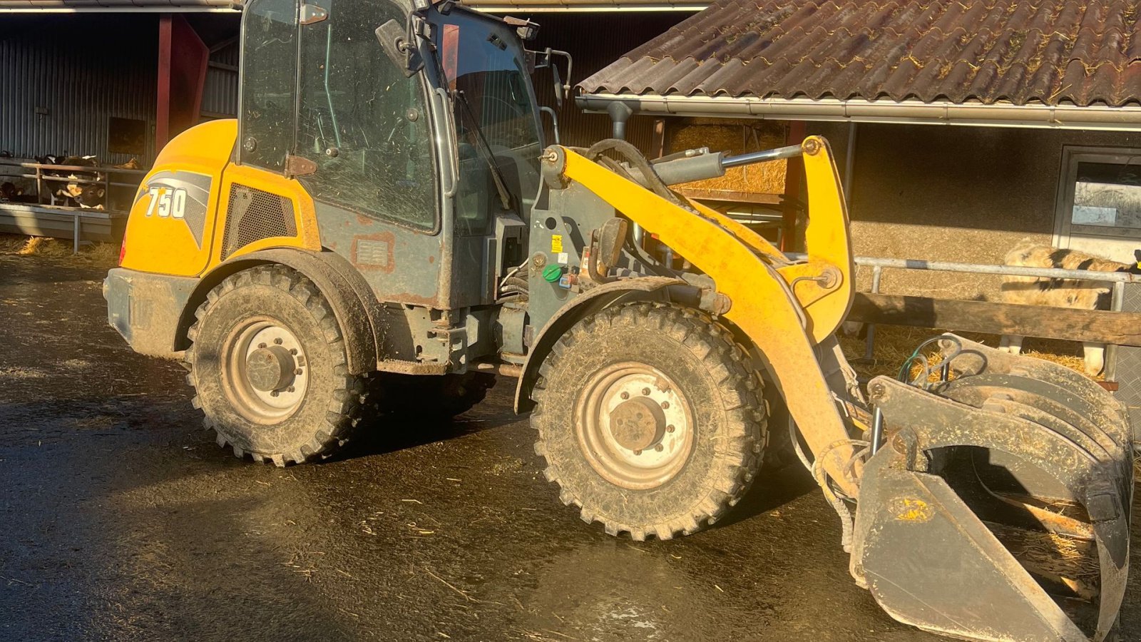 Kompaktlader van het type Gehl AL 750, Gebrauchtmaschine in Brønderslev (Foto 1)