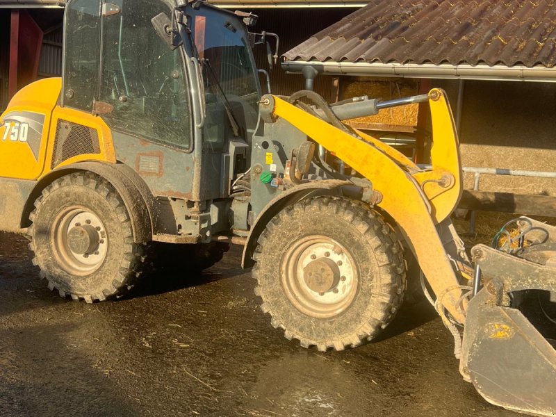 Kompaktlader of the type Gehl AL 750, Gebrauchtmaschine in Brønderslev