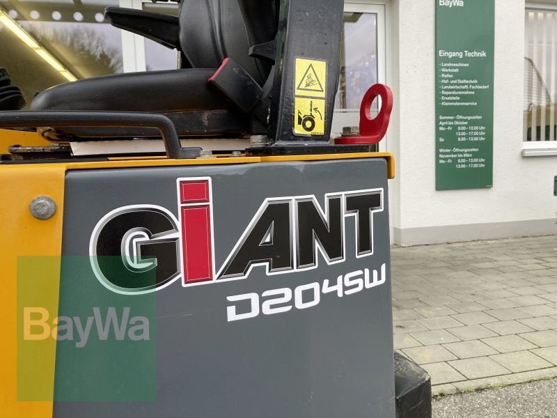 Kompaktlader des Typs GiANT D204SW, Gebrauchtmaschine in Lupburg (Bild 7)
