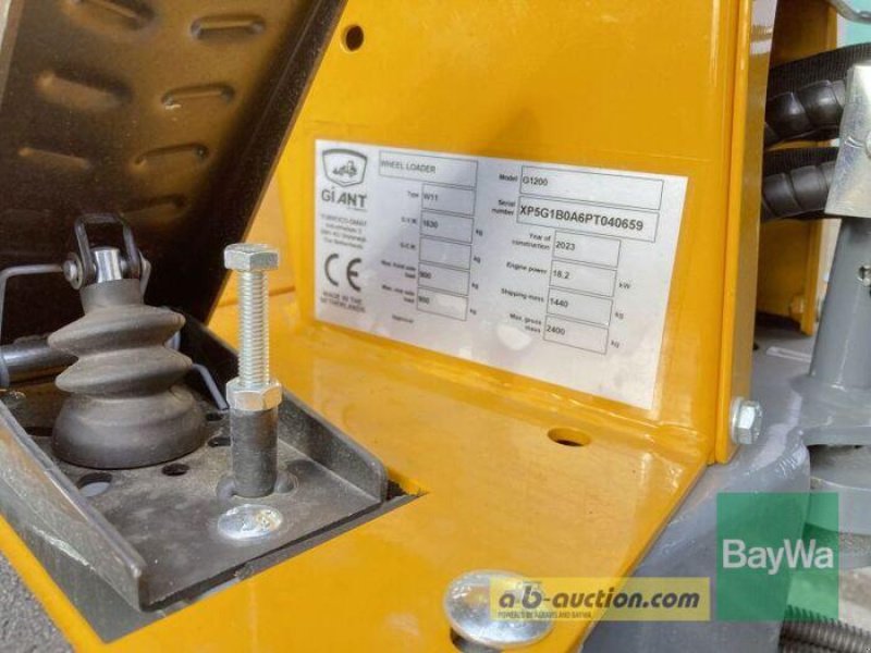 Kompaktlader от тип GiANT G 1200, Gebrauchtmaschine в Obertraubling (Снимка 3)