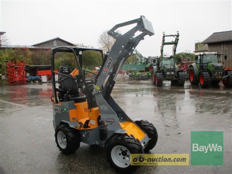 Kompaktlader des Typs GiANT G1200   #874, Gebrauchtmaschine in Schönau (Bild 3)