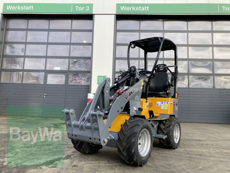 Kompaktlader van het type GiANT G1200 GIANT HOFLADER, Neumaschine in Babenhausen (Foto 1)