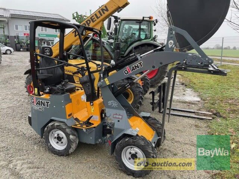 Kompaktlader des Typs GiANT G1200, Gebrauchtmaschine in Straubing (Bild 2)