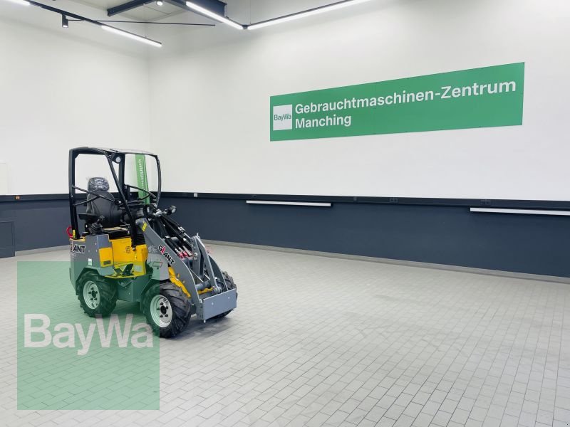 Kompaktlader des Typs GiANT G1200, Gebrauchtmaschine in Manching