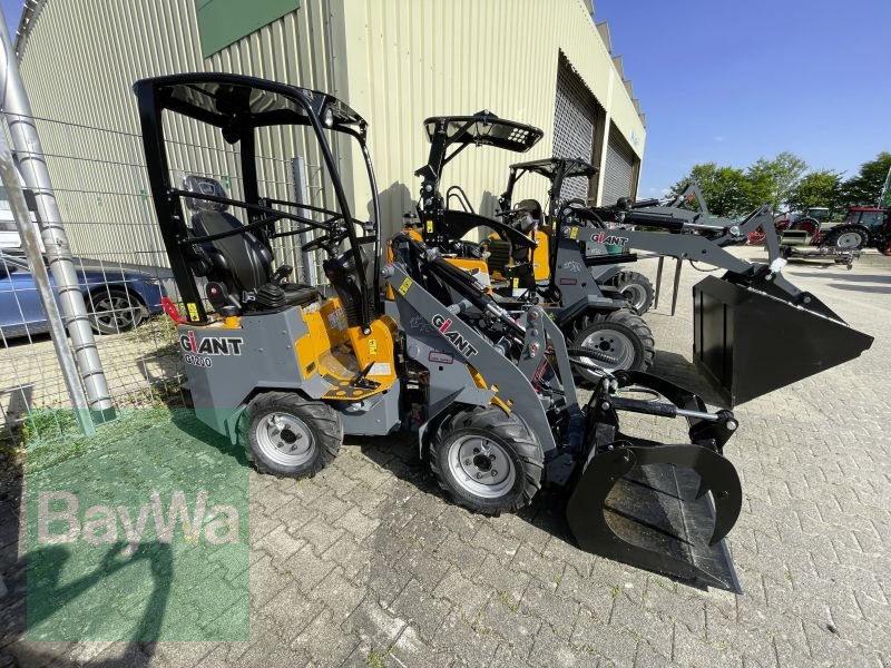 Kompaktlader des Typs GiANT G1200, Vorführmaschine in Peiting (Bild 1)