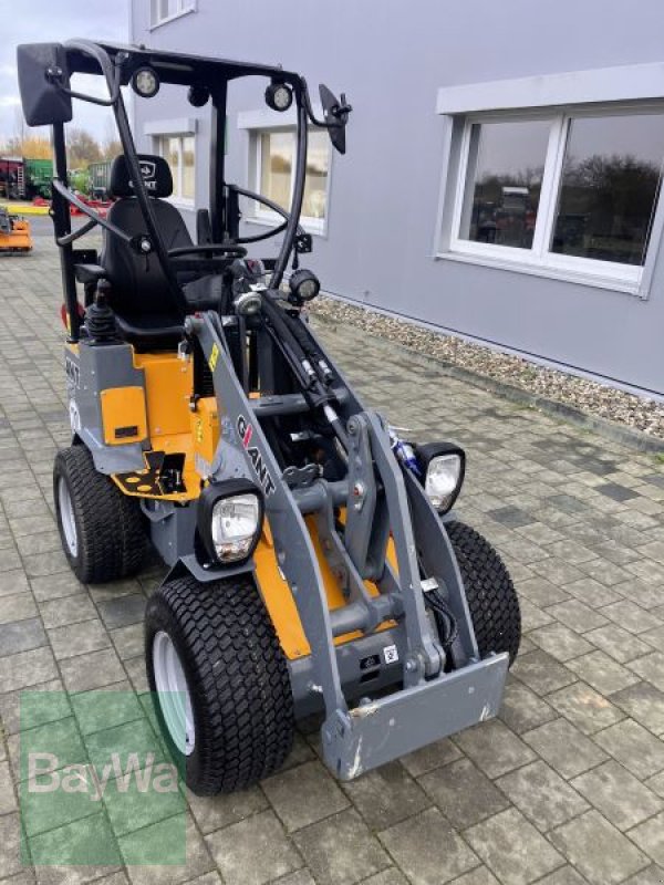 Kompaktlader des Typs GiANT G1200, Gebrauchtmaschine in Großweitzschen  (Bild 3)