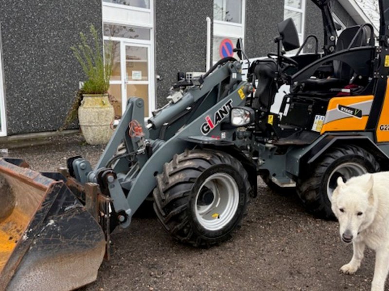 Kompaktlader typu GiANT G2200E X-tra 3. FUNKTION, HYDRAULISK SKIFT, VEJLYS,SKOVL, GAFLER, Gebrauchtmaschine v Dronninglund (Obrázek 1)