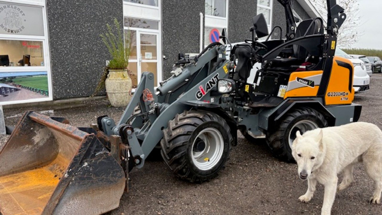 Kompaktlader van het type GiANT G2200E X-tra 3. FUNKTION, HYDRAULISK SKIFT, VEJLYS,SKOVL, GAFLER, Gebrauchtmaschine in Dronninglund (Foto 1)