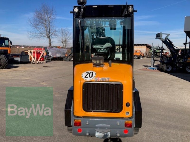 Kompaktlader a típus GiANT G2500 HD, Vorführmaschine ekkor: Sonthofen (Kép 4)