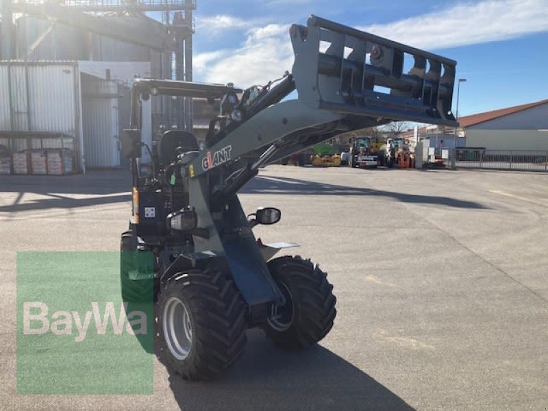 Kompaktlader του τύπου GiANT G2700E, Vorführmaschine σε Sonthofen (Φωτογραφία 3)