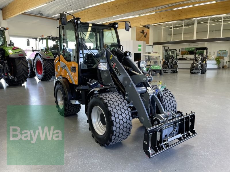 Kompaktlader типа GiANT G5000, Gebrauchtmaschine в Bamberg (Фотография 5)