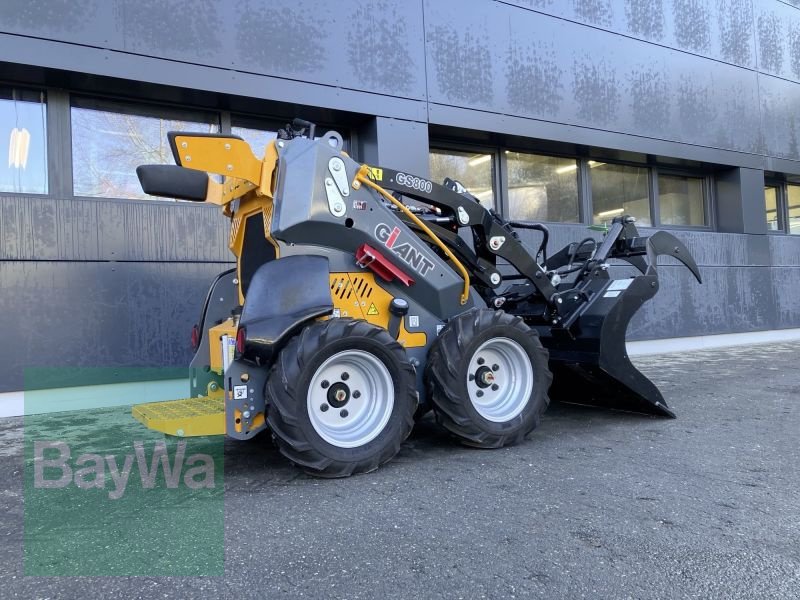 Kompaktlader del tipo GiANT GS800 GIANT HOFLADER, Neumaschine In Rottweil (Immagine 2)