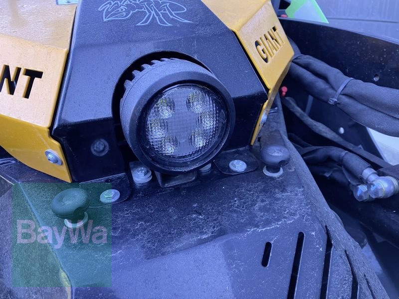 Kompaktlader del tipo GiANT GS800 GIANT HOFLADER, Neumaschine In Rottweil (Immagine 6)