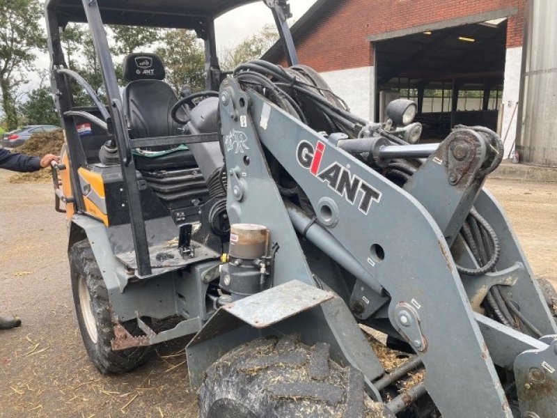 Kompaktlader tip GiANT HML 3500 minilæsser, Gebrauchtmaschine in Farsø (Poză 3)