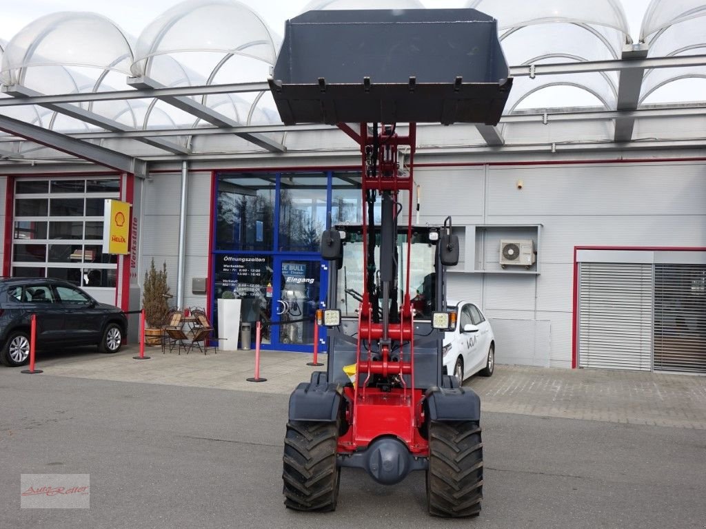 Kompaktlader of the type Grizzly Hoflader 808+! Allrad 2 Jahre mobile Garantie!, Neumaschine in Fohnsdorf (Picture 21)