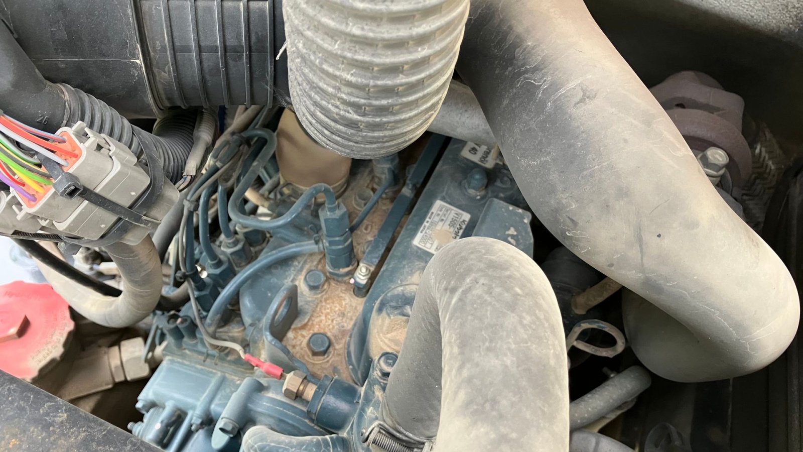 Kompaktlader of the type Schäffer 2445, Gebrauchtmaschine in Horsens (Picture 5)