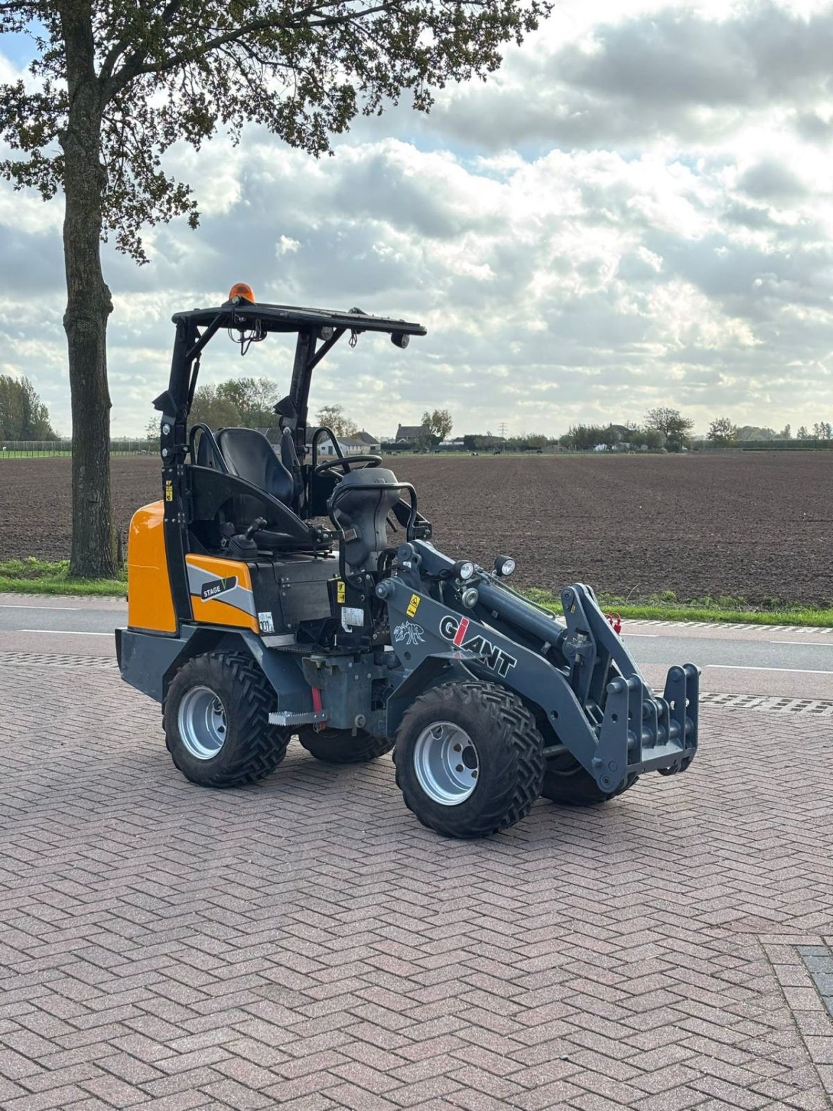 Kompaktlader of the type Sonstige Giant G1500extra, Gebrauchtmaschine in Wadenoijen (Picture 1)