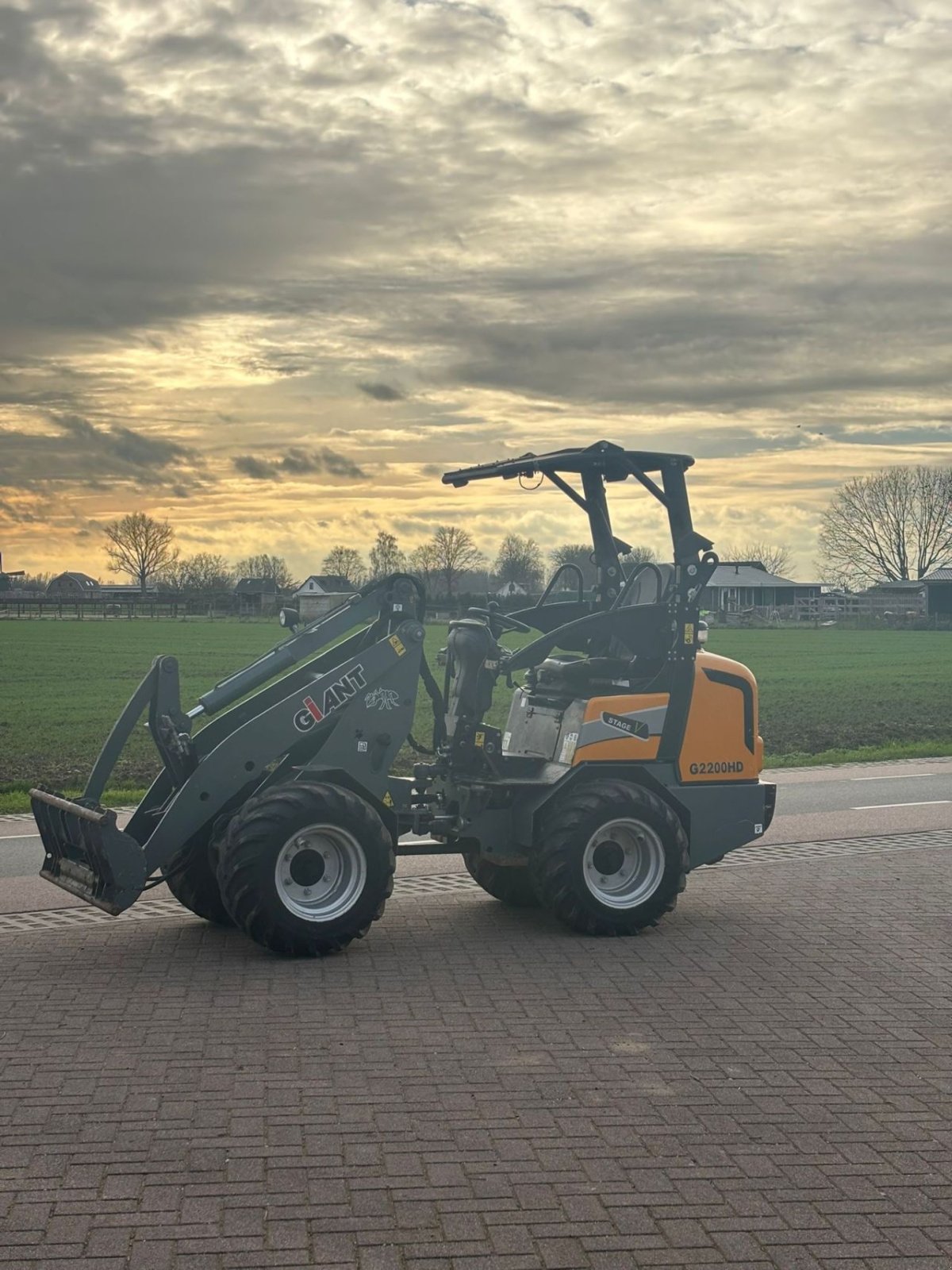 Kompaktlader des Typs Sonstige Giant G2200 HD, Gebrauchtmaschine in Wadenoijen (Bild 3)