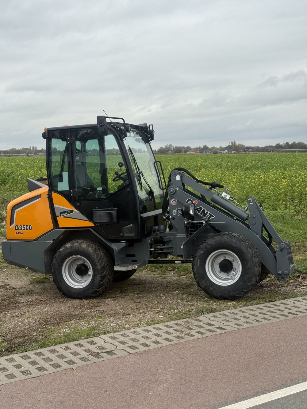 Kompaktlader of the type Sonstige Giant G2300, Gebrauchtmaschine in Wadenoijen (Picture 4)