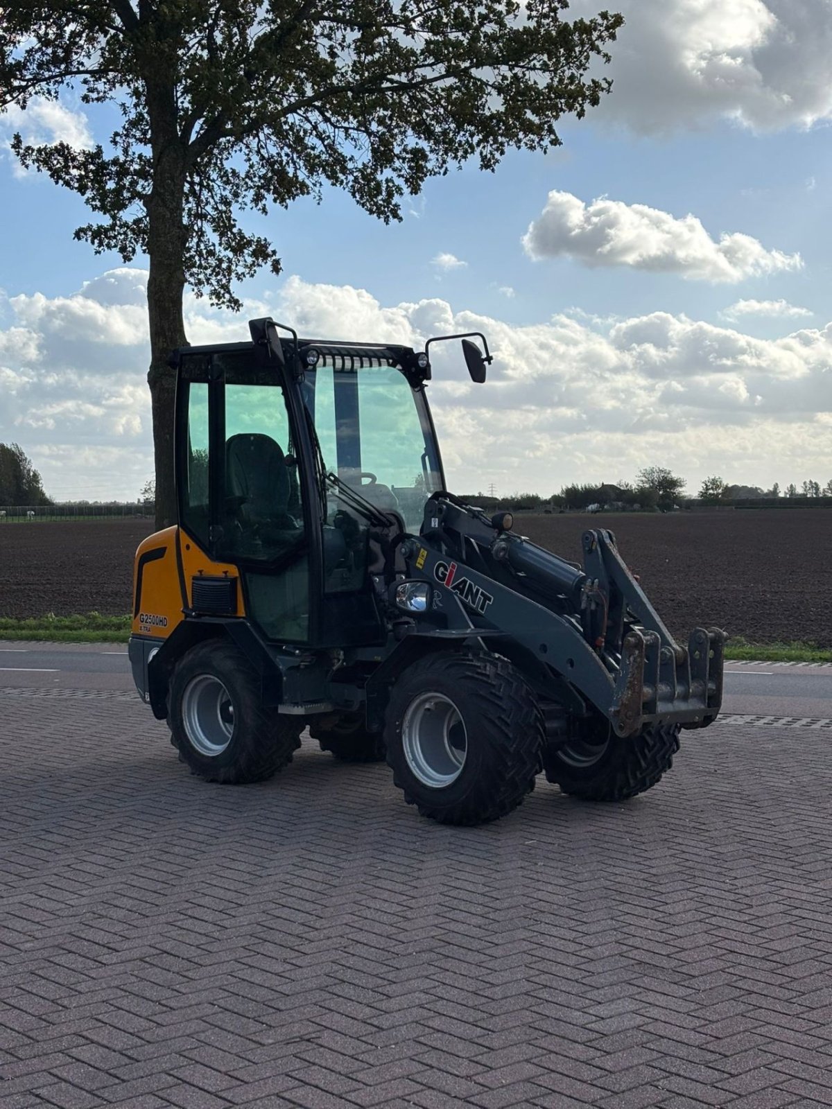 Kompaktlader of the type Sonstige Giant G2500 extra, Gebrauchtmaschine in Wadenoijen (Picture 3)