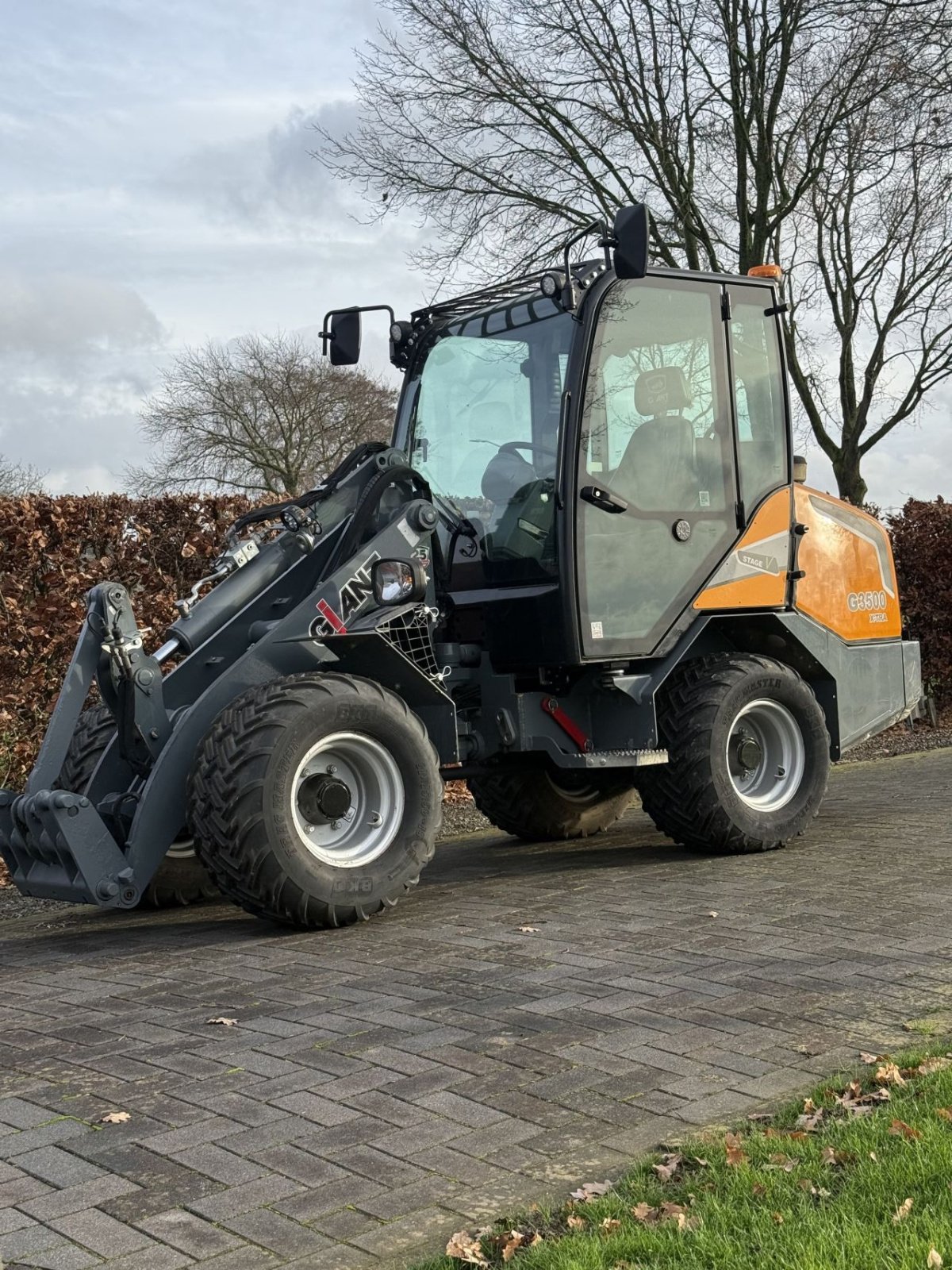 Kompaktlader of the type Sonstige Giant G3500 extra, Gebrauchtmaschine in Wadenoijen (Picture 2)